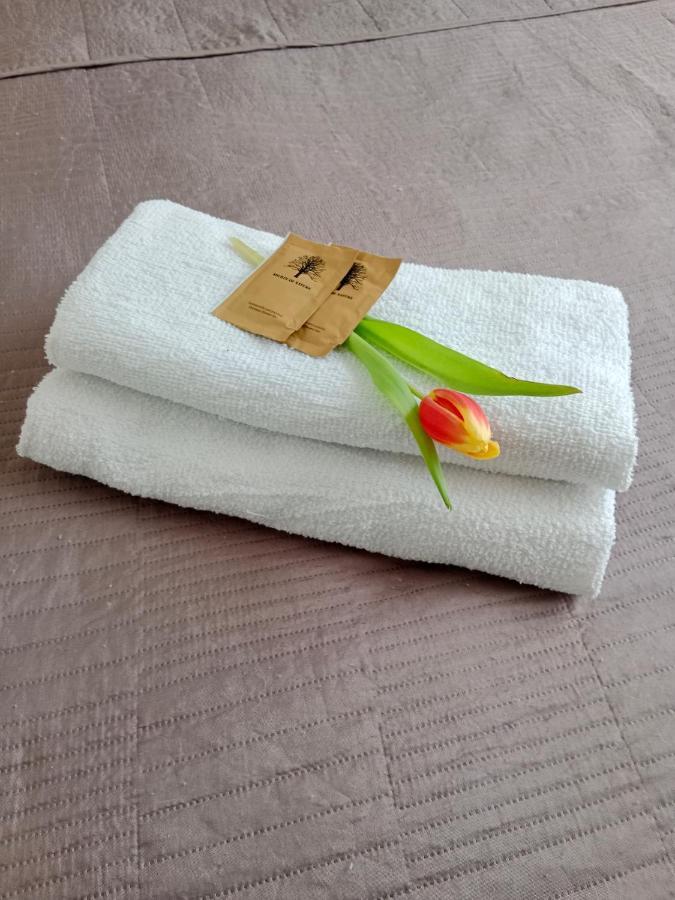 Apartament Glamour Chełm Екстериор снимка